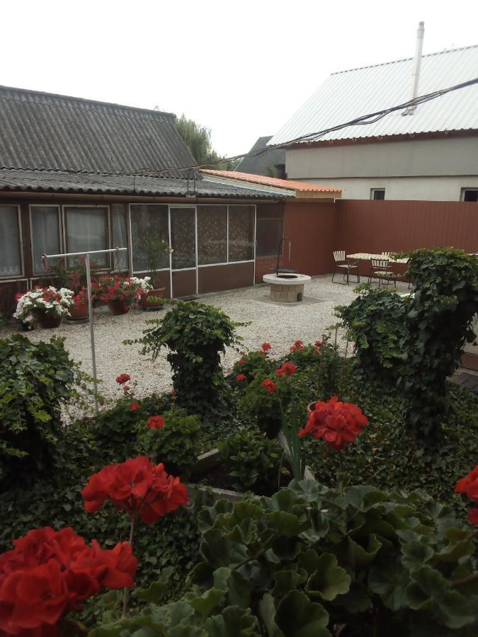 Vadkacsa apartmanház medencével Zamárdi Extérieur photo